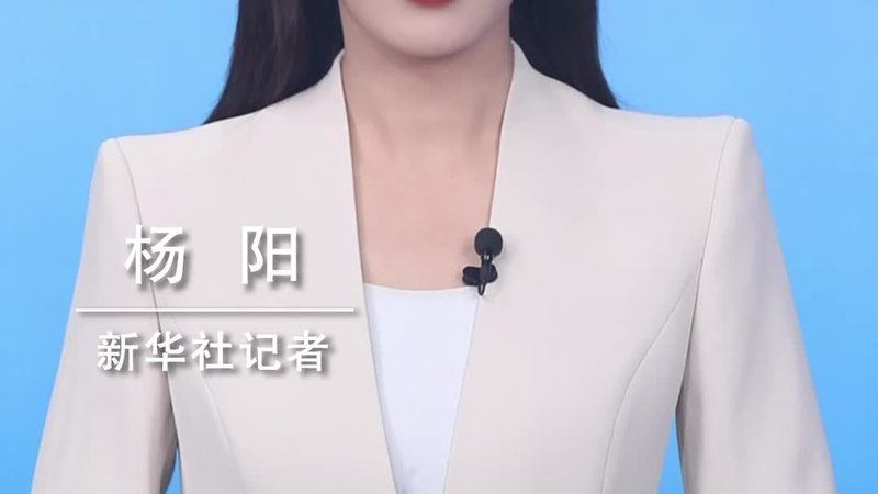 客户关系管理：揭秘其核心要素与选型要点